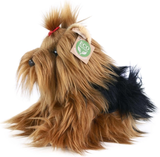 Weicher Yorkshire-Terrier