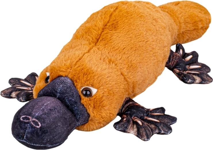 Plüschschnabeltier 50 cm – kuscheliges liegendes Schmusetier