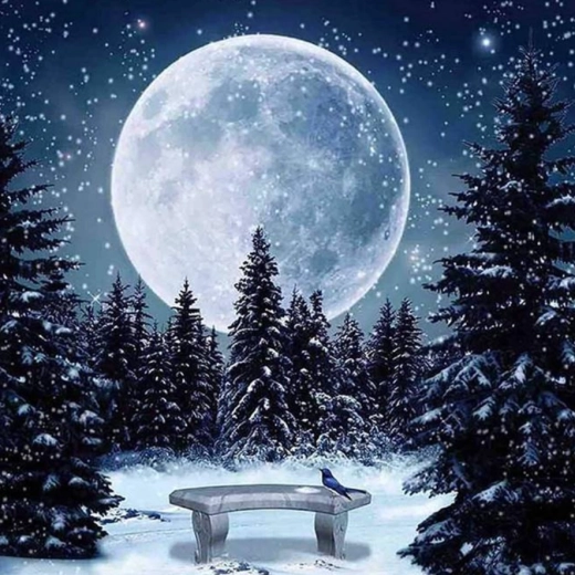 Diamantmalerei – Vollmond im Winter 30 × 40 cm
