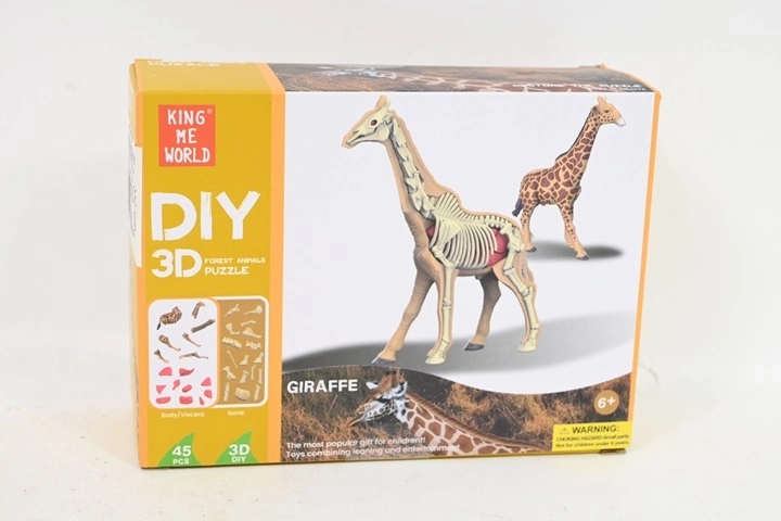 Anatomisches Modell einer Giraffe