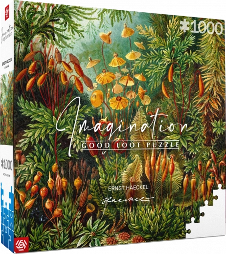 Puzzle Imagination: Ernst Haeckel – Muscinae 1000 Teile