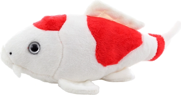 Realistische Details des Koi-Karpfens