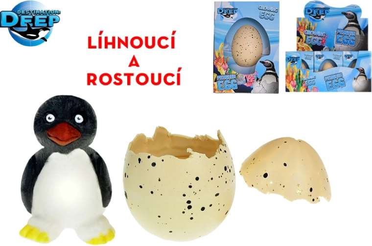 Schlüpfender Pinguin im Ei – Wachstum im Wasser, 6 cm