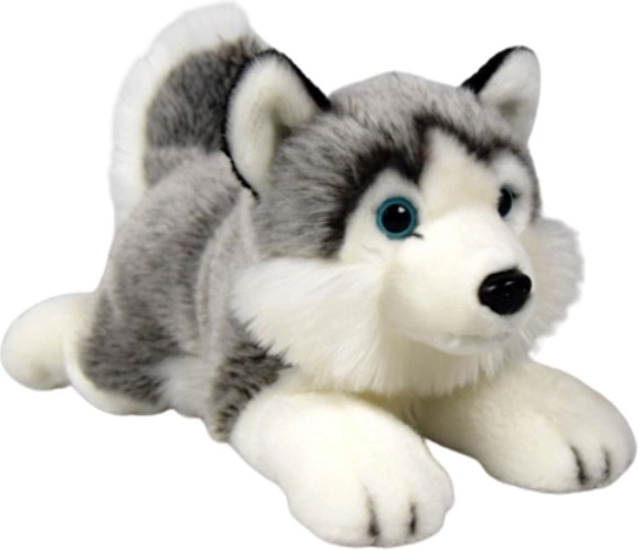 Plüschhund Husky Dubi 27 cm