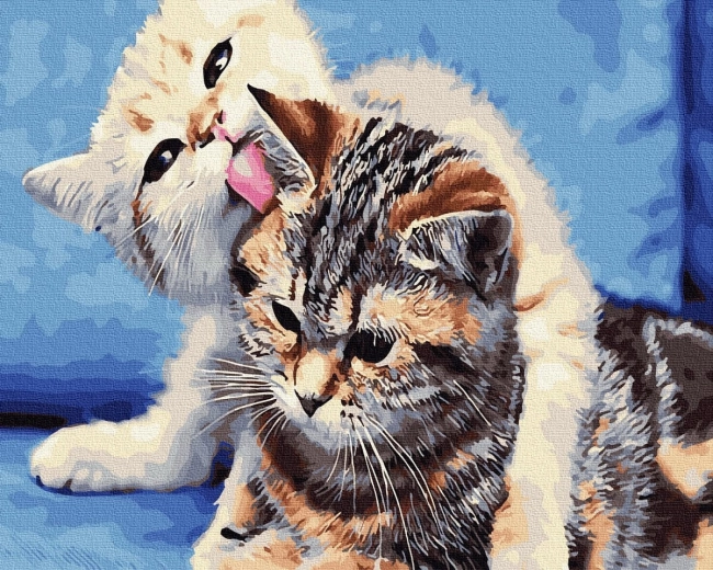 Diamant-Malerei Katzenfreundschaft 30 × 40 cm