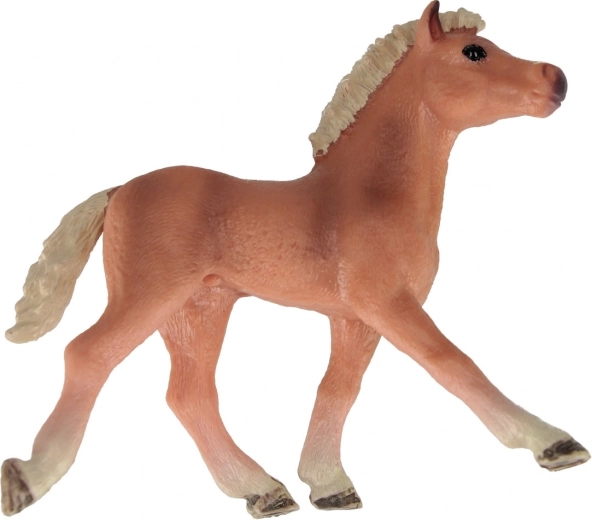 Drei attraktive Varianten