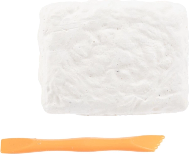 Alles Nötige im Set enthalten