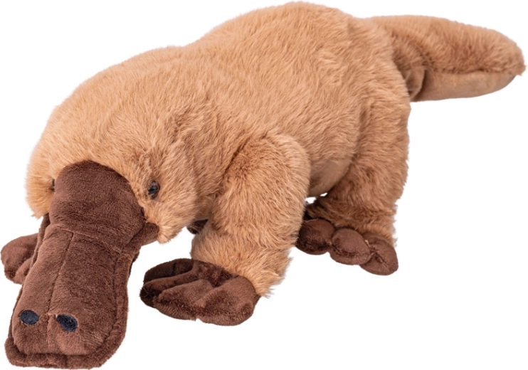Plüschschnabeltier 45 cm