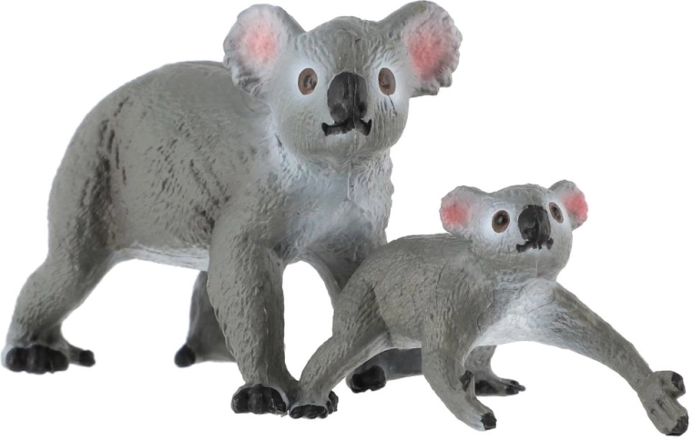 Koala mit Jungtier