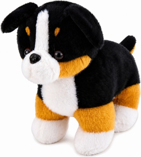 Realistisches Berner-Sennenhund-Design