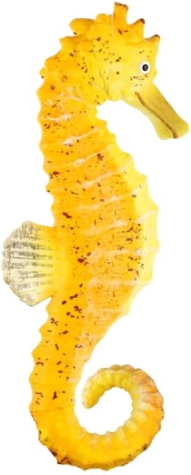 Kompakte Größe von 8 cm