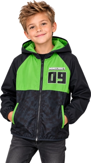 Lizenzdesign Minecraft