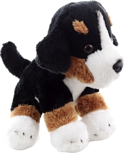 Leichter und platzsparender Begleiter