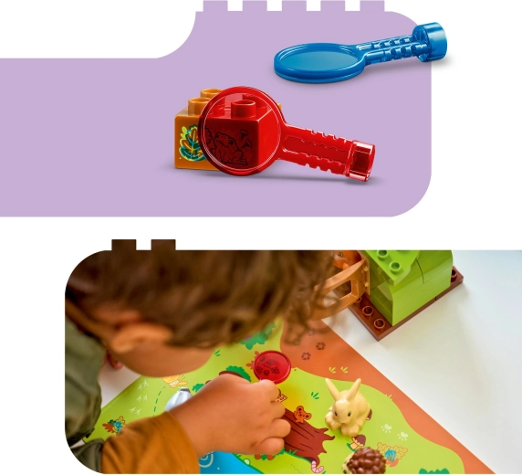 Bunte Linsen zum Entdecken von Details