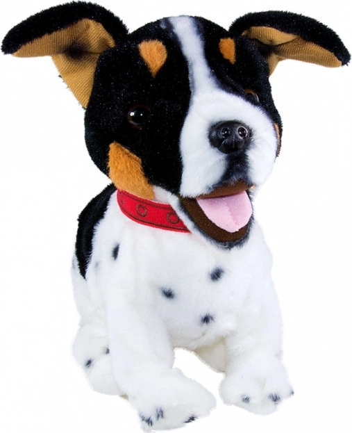 Naturgetreue Nachbildung eines Jack Russell Terriers