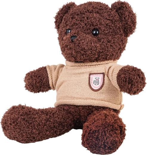 Niedlicher Pullover