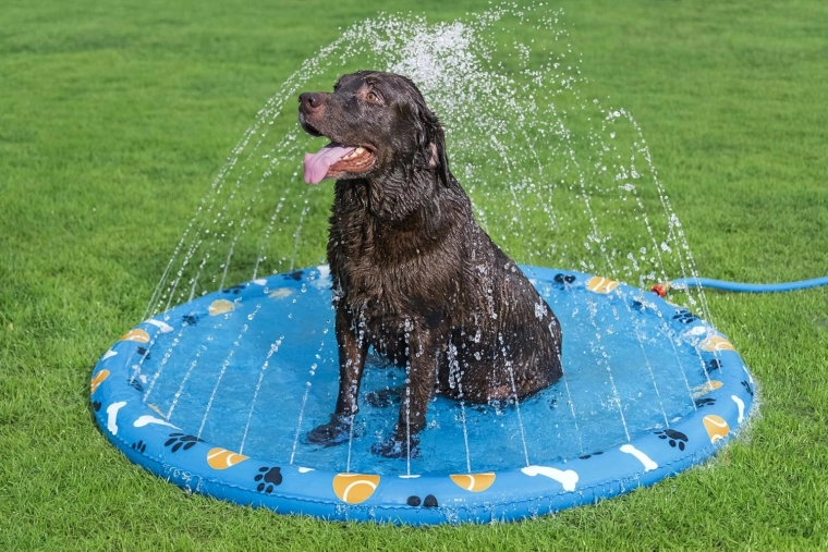 Feine Wasserstrahlen rundum für sommerliche Erfrischung