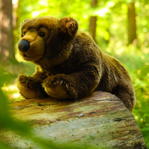 ECO-FRIENDLY-Füllung