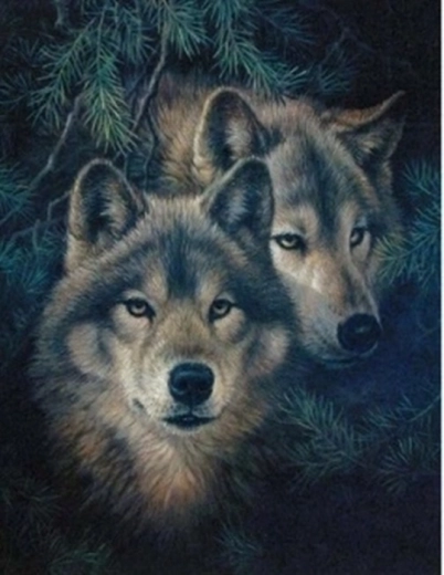 Diamantmalerei Wölfe in den Kiefern 30 × 40 cm