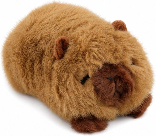 Niedliche Details der Capybara