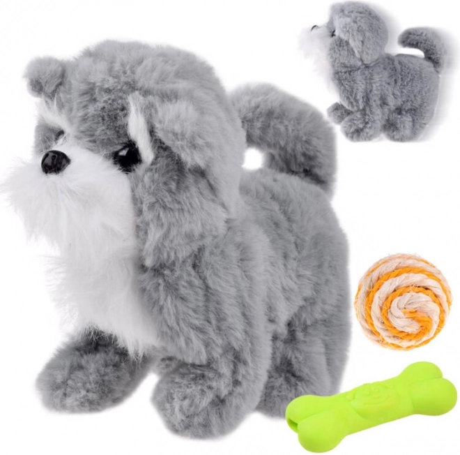 Interaktiver grauer Hund