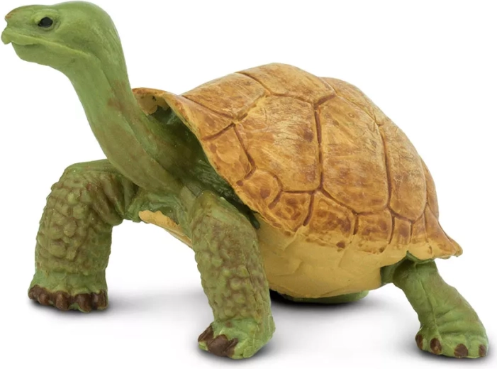 Safari Ltd. Figur der Riesenschildkröte