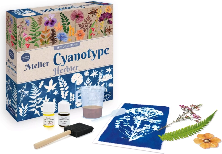 Sentosphere Cyanotypie – Herbarium-Werkstatt