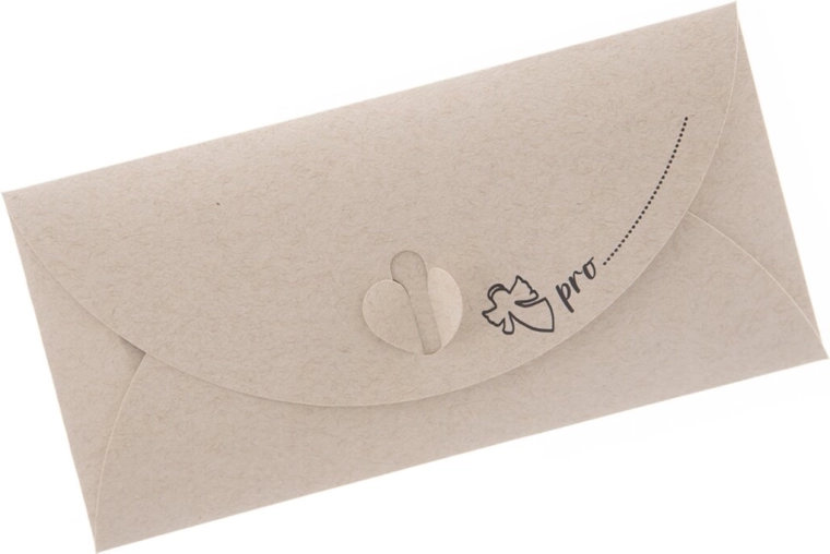 Papierumschlag DL 22 × 11 cm