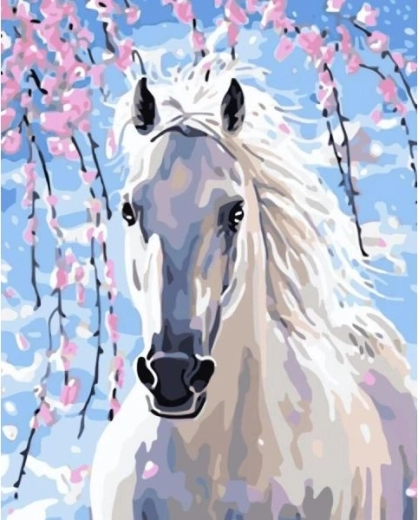 Malen nach Zahlen auf Leinwand im Rahmen 40 × 50 cm – weißer Hengst