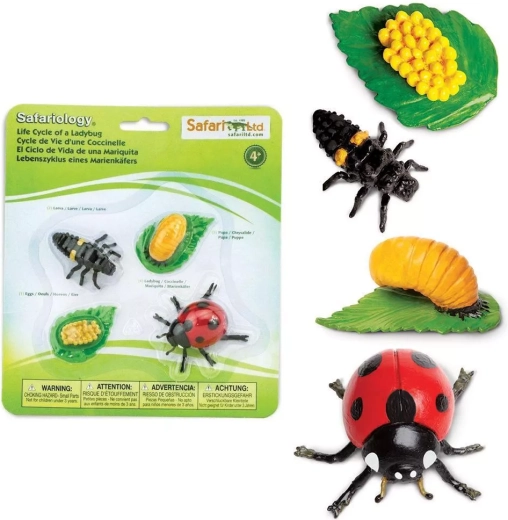Safari Ltd. Lebenszyklus des Marienkäfers – Set mit 4 Figuren