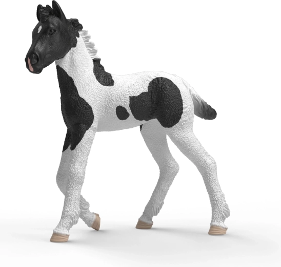 Schleich Horse Club Sammlerfohlen Rocky – 1 Stück