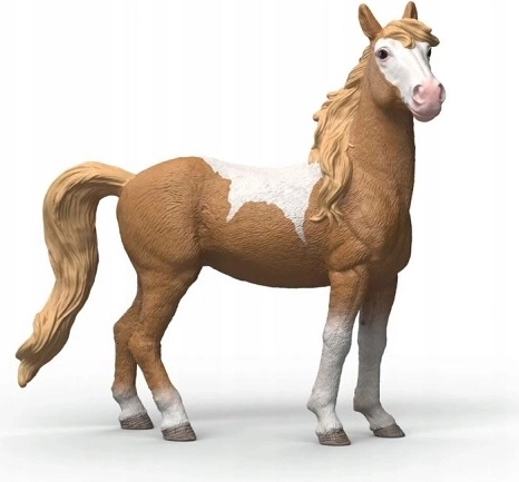 SLH Mustangstute