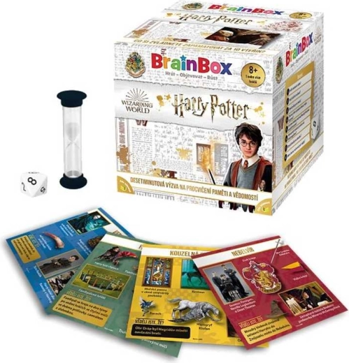 BrainBox Spiel Harry Potter