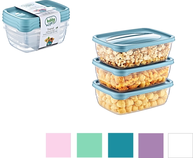Set aus 3 rechteckigen Boxen Trend Box 0,3 l