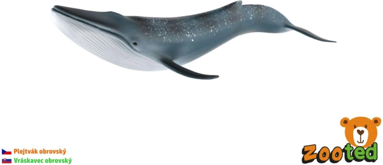 Blauwal-Modell 27 cm