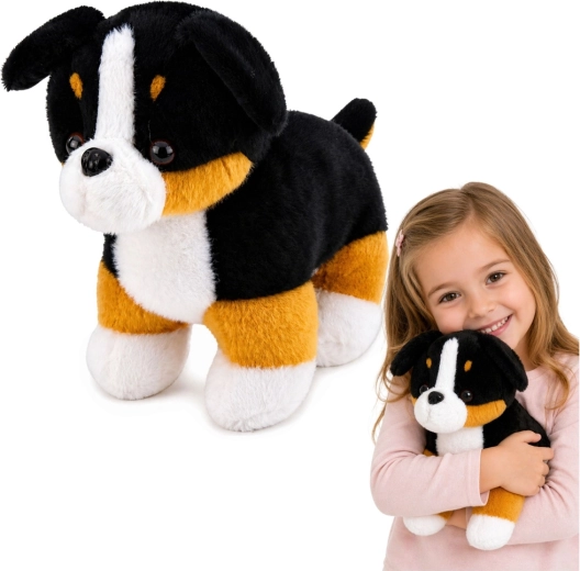 Plüsch-Berner Sennenhund – weiches Kuscheltier 30 cm