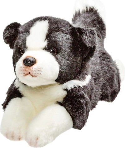 Plüschhund Border Collie 30 cm