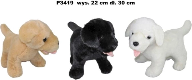 Pies P-3419