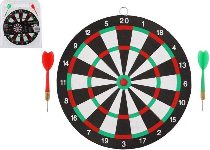 Dartscheibe 24 cm mit 2 Pfeilen