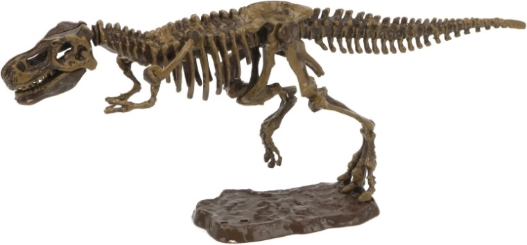 Archäologie-Set 3D Tyrannosaurus
