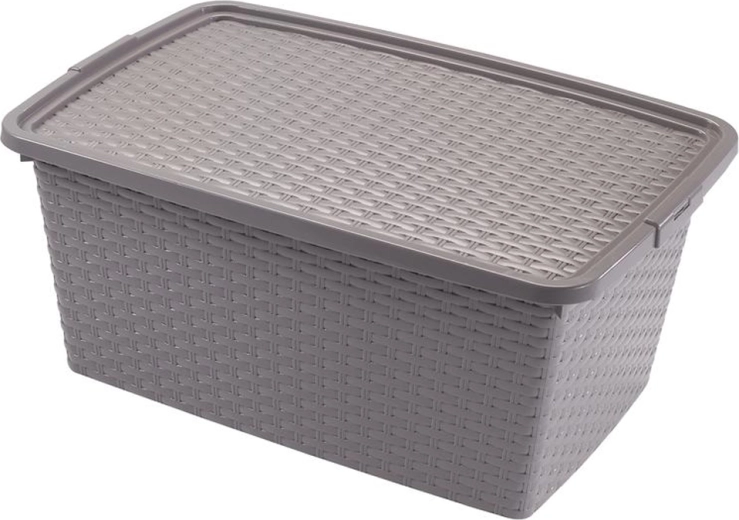 Heidrun Kunststoff-Aufbewahrungsbox mit Deckel Rattan 20 l