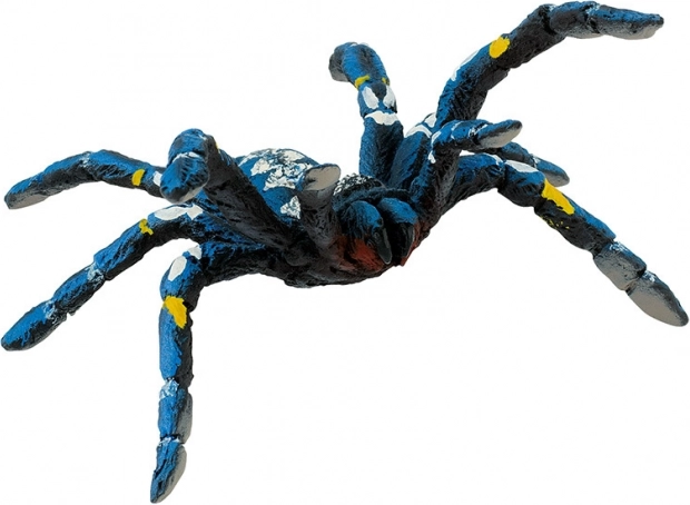 Blaue Vogelspinne