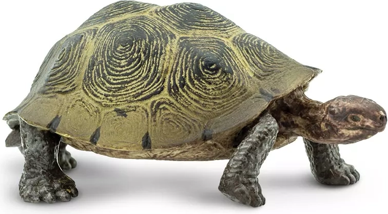 Safari Ltd. Wüstenschildkröte – Figur