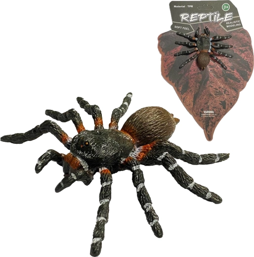 Lebendige Natur: realistisches Spinnenmodell White Knee Spider (8 cm) - 1 Stück
