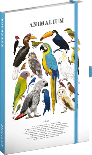Notique Notes Animalium – liniertes Notizbuch „Vögel“ 13 × 21 cm