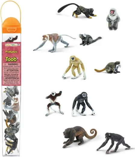 Röhre mit Primatenfiguren Safari Ltd. (10 Figuren)