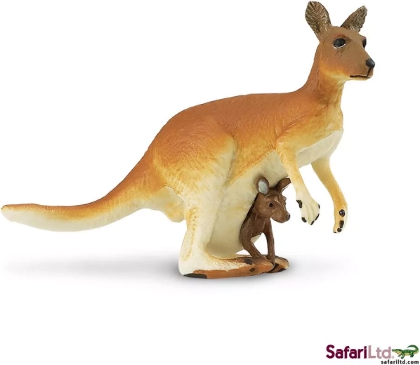 Känguru mit Jungtier