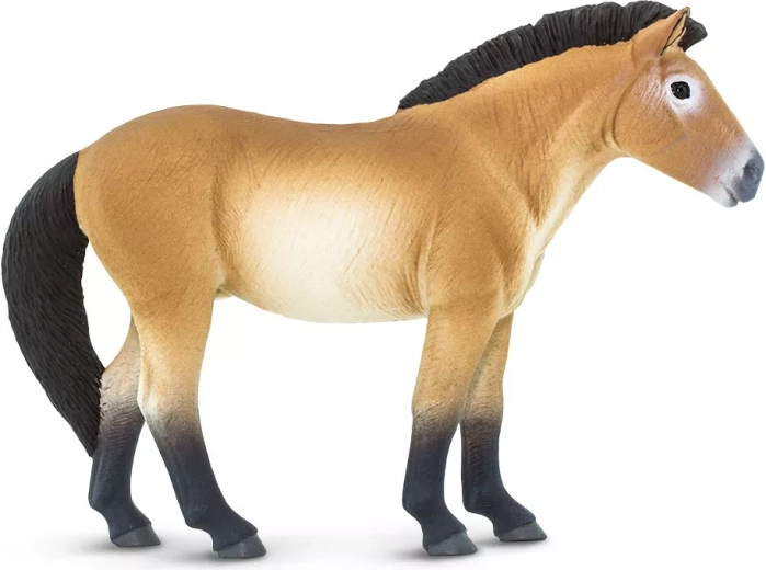 Safari Ltd. Figur Przewalski-Pferd