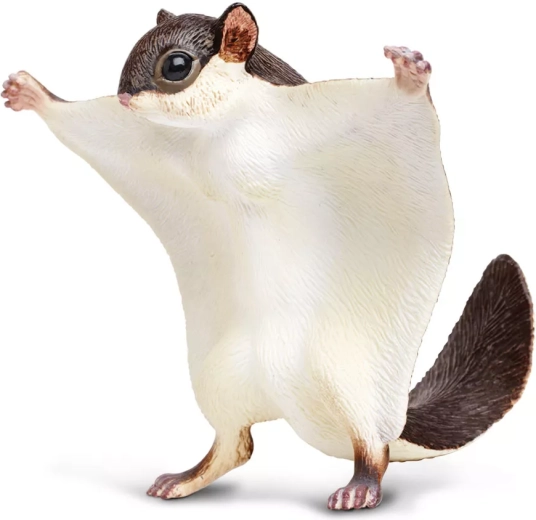 Safari Ltd. Figur "Wolliges Flughörnchen" – 1 Stück