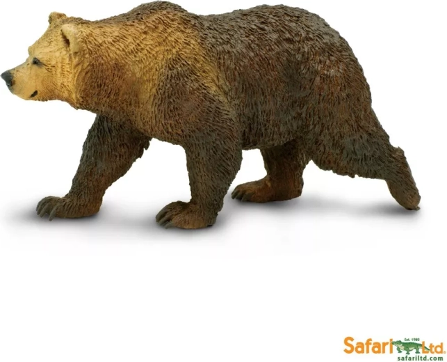 Grizzlybär